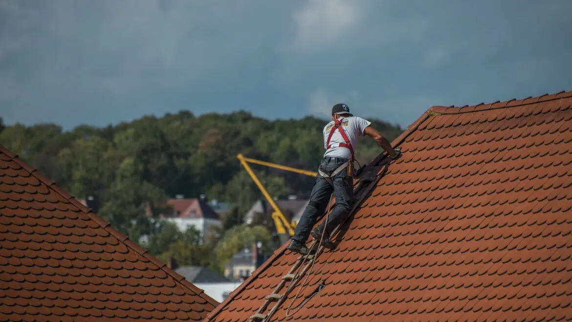 Toiture abimée : que faire pour la rénovation ?